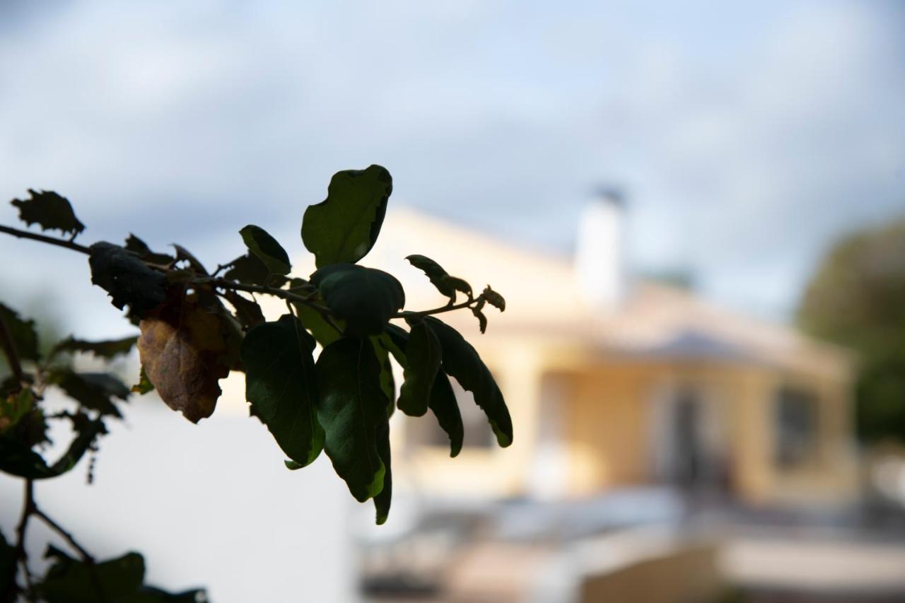 Casa Portus - Turismo Rural FAO Eksteriør billede